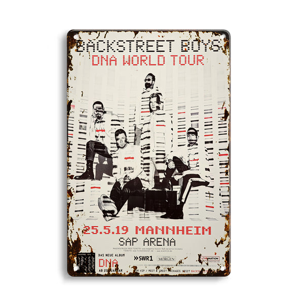 ARTYSIANBackstreet Boys - DNA World , Mannheim 2019 - KonzertplakatMetal Sign 30X20cm